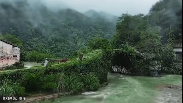 Почувствовать эстетику китайской живописи тушью в Сюаньчэне, Аньхой