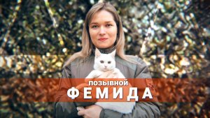 Герои СВО: позывной Фемида