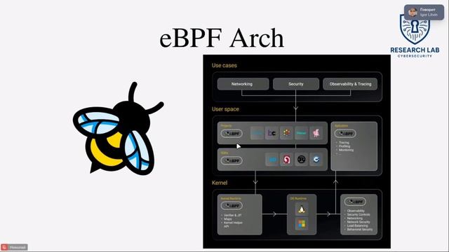 Falco. Прошунин Николай