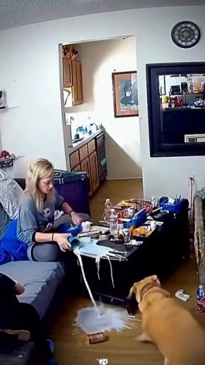 ❗❗❗👉😎ОЧЕНЬ ПОНРАВИЛОСЬ 🎥https://vk.com/digiron_rz
👉https://vk.com/digiron_rx
🎥 КРУТО 🤟