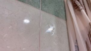 Отмыла плитку в ванной за 2 минуты! Обзор паровой швабры «2 в 1» Kitfort KT-3921 💨🧹