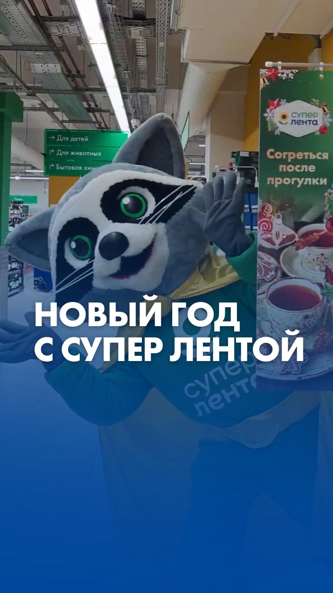 Новогодний ассортимент по акциям и доставка ингредиентов от 30 минут в «Супер Лента»! смотреть онлайн