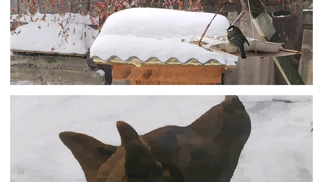 Дом, природа, непогода, Максик, Мишка, тесто в миске! Мой день!🤗 смотреть онлайн