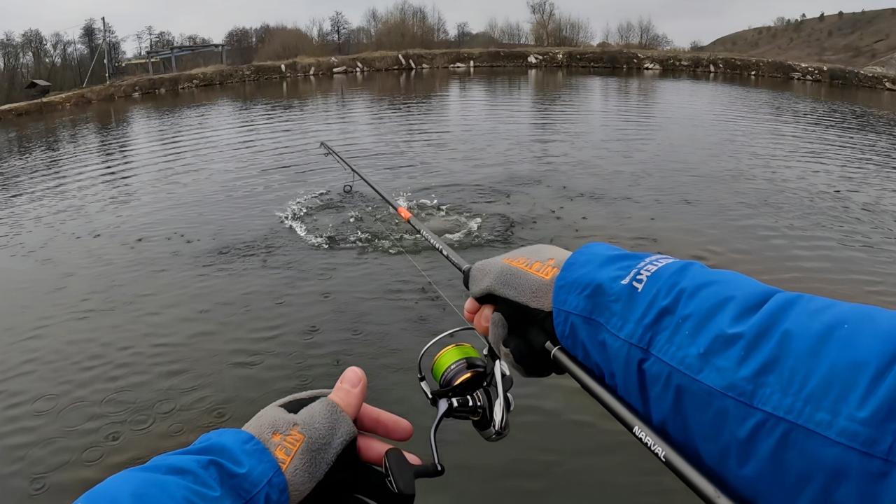 ЖОР ЩУКИ перед ледоставом! Её тут тьма! Рыбалка на спиннинг