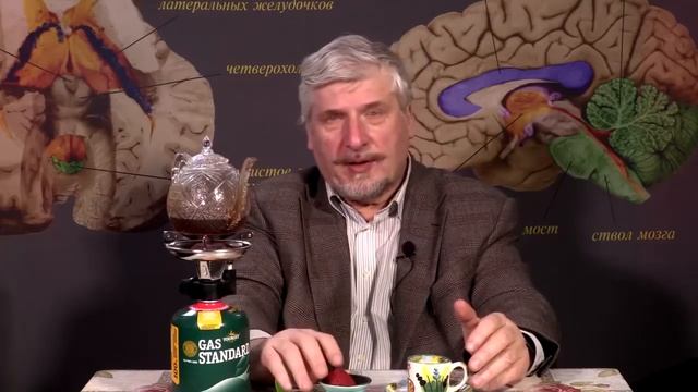 Инстинкт и рассудок смотреть онлайн