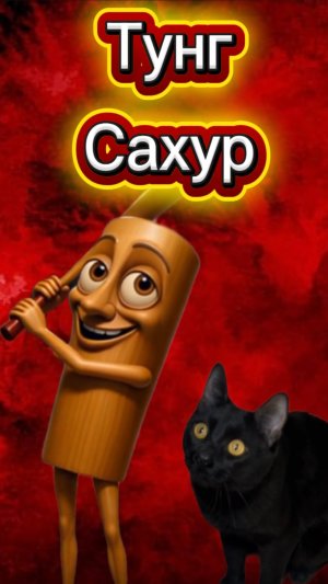 Тунг тунг тунг Сахур в реальной жизни 🙀 #кот #кошка #котики #животные #тунгтунгтунгсахур