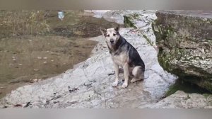 Сочи помнит,, Ласковый май,,! 🎉💔