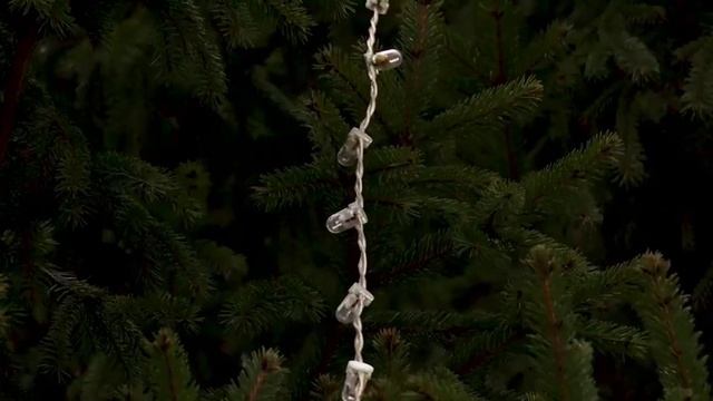 В Энгельсе установили главную новогоднюю ель смотреть онлайн