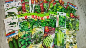 Выбираем ОГУРЦЫ на НОВЫЙ СЕЗОН, как правильно выбрать для теплицы и Открытого грунта