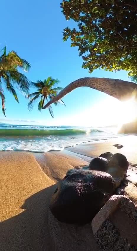 Подпишись 👉 👉 https://kamennyi-zver.ru смотреть онлайн