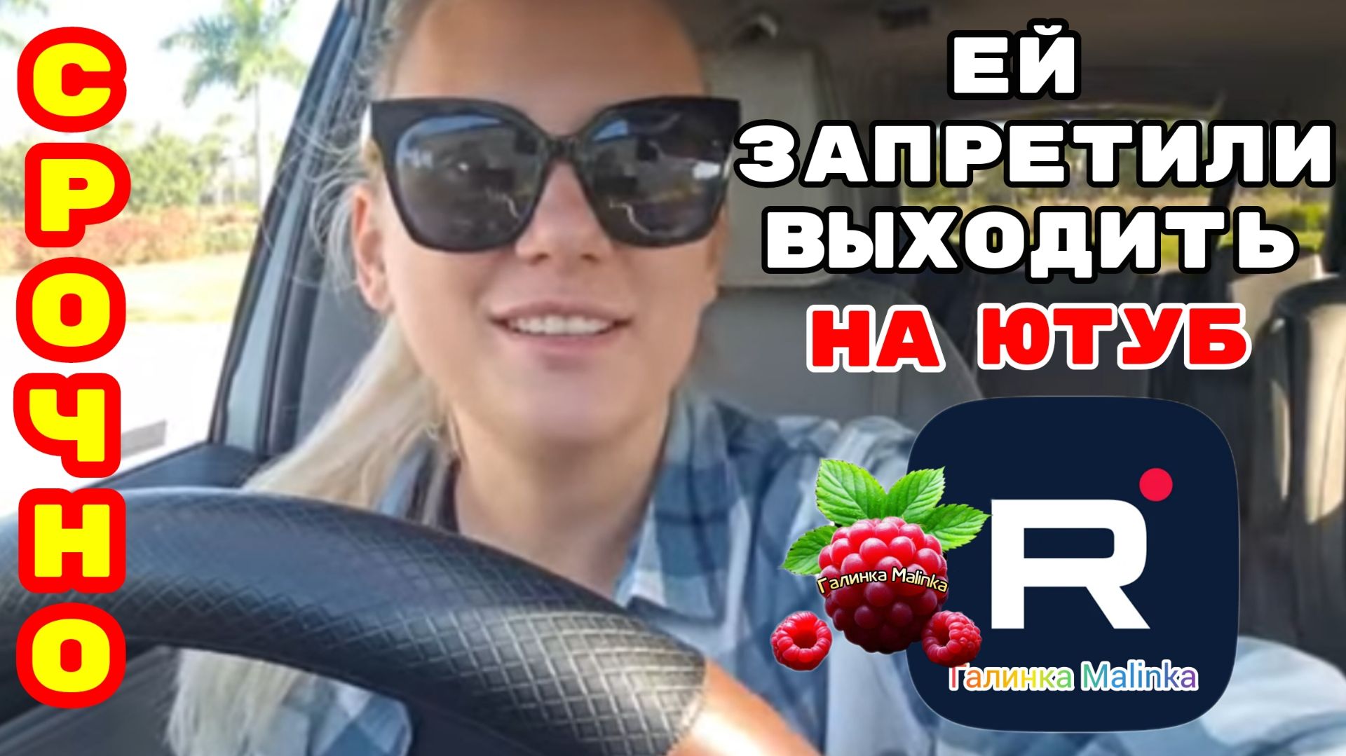 Лиса в Америке _Срочно _Ей запретили выходить на ютуб _Обзор _Big Big Family _Funny 4