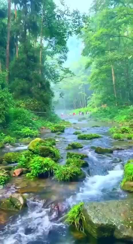 Подпишись 👉  👉 Https://kamennyi-zver.ru