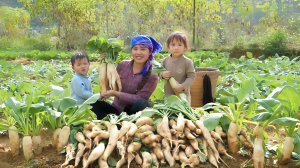 Собираю большую редиску, чтобы продать на рынке, готовлю курицу для двоих детей. Дуонг. Вьетнам