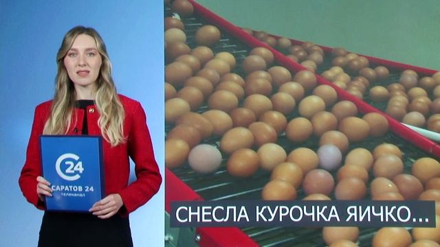 Саратов Сегодня | 11 декабря. Дневной выпуск новостей смотреть онлайн