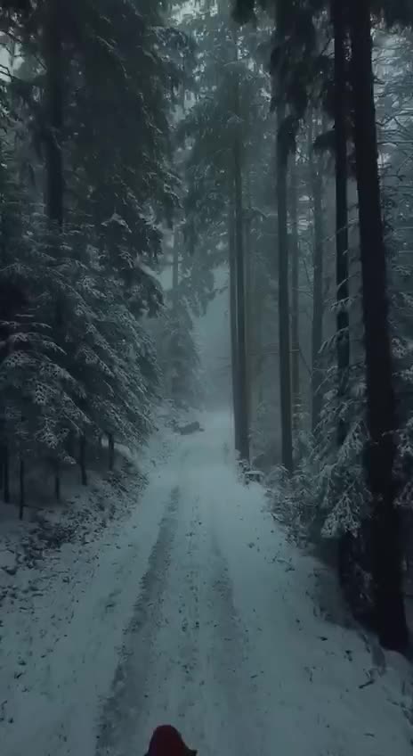 Подпишись 👉 👉 https://kamennyi-zver.ru смотреть онлайн