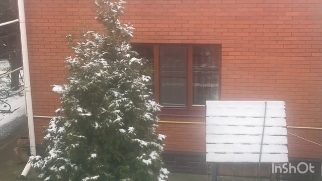 11-12-2025 ДОБРОГО ЗИМНЕГО УТРА,ДРУЗЬЯ ❤️❤️❤️/жизнь здесь и сейчас ❤️❤️❤️ смотреть онлайн