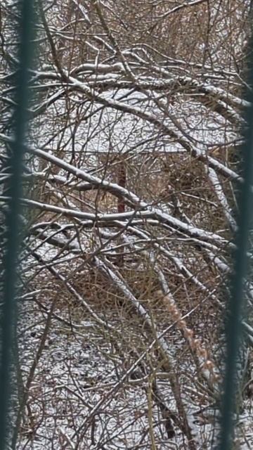 береговая полоса смотреть онлайн