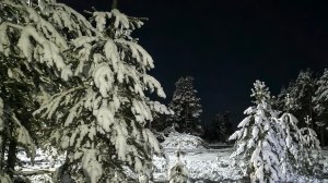 Зимняя морозная ночь . Музыка релакс .