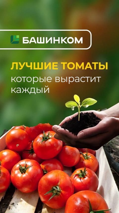 Набор Здоровье 800 смотреть онлайн