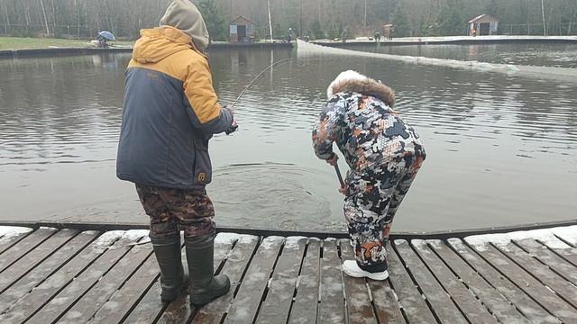 Основной водоём. Поимка форели на блесну. смотреть онлайн