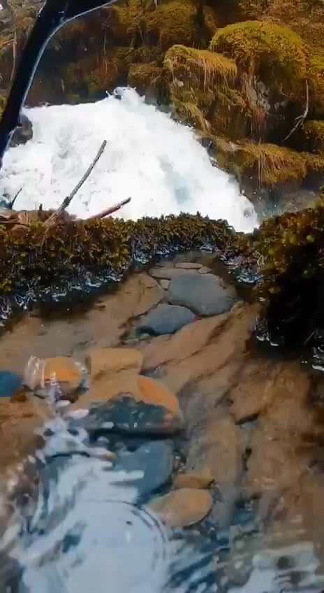 Подпишись 👉 👉 https://kamennyi-zver.ru смотреть онлайн