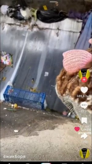 шлепа за пельменями