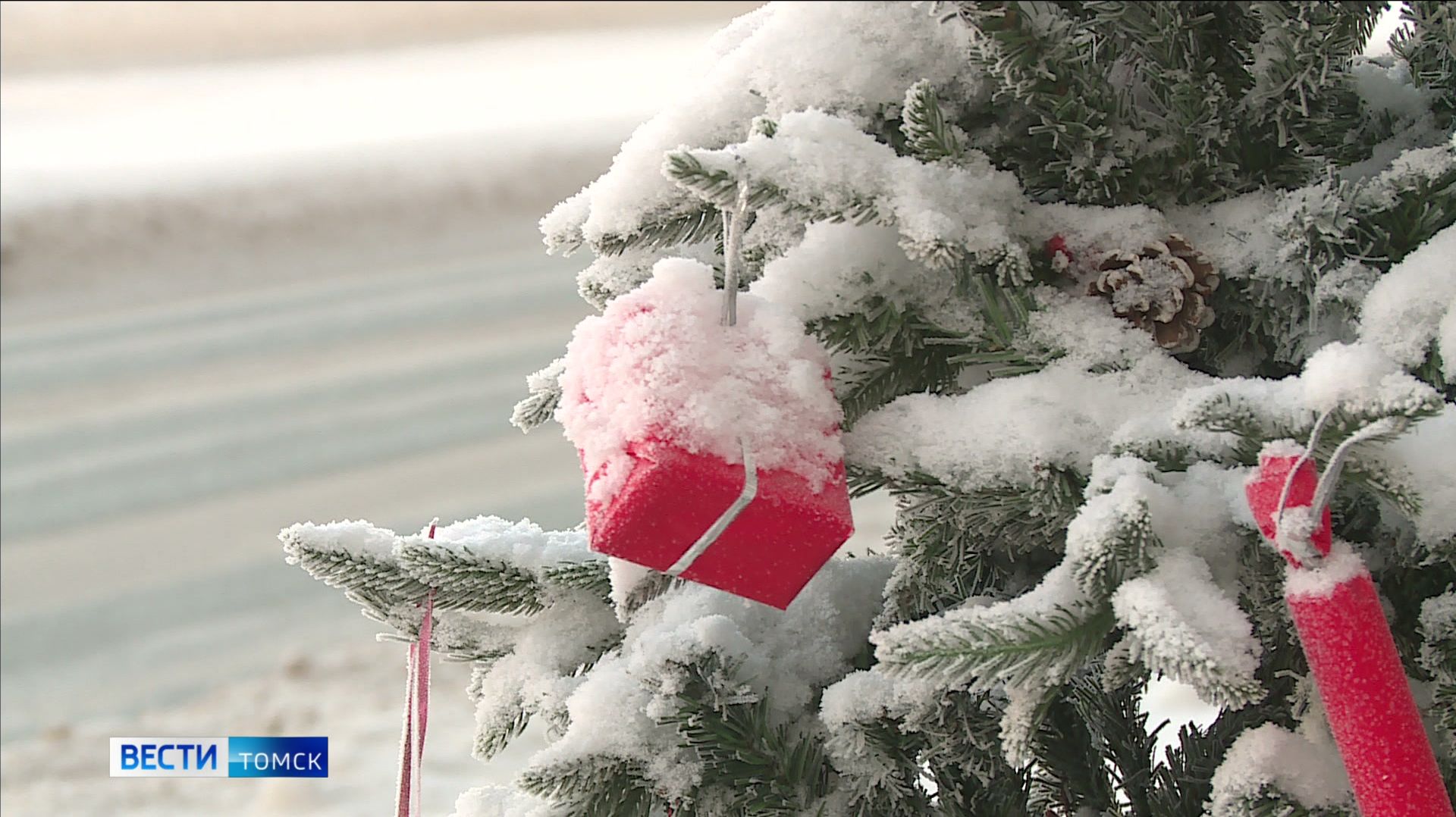 Вести-Томск, выпуск от 11.12.2025 09:30 смотреть онлайн