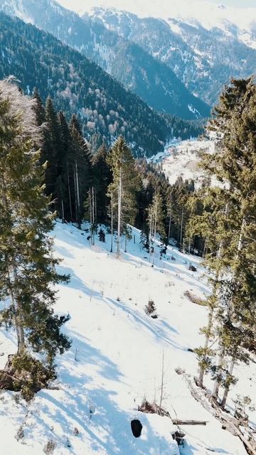 Полет над снежными вершинами смотреть онлайн