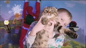 НОВОГОДНЕЕ УКРАШЕНИЕ