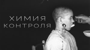 СЕКРЕТНЫЙ КОД СУДЬБЫ: как химия формирует характер, любовь и успех