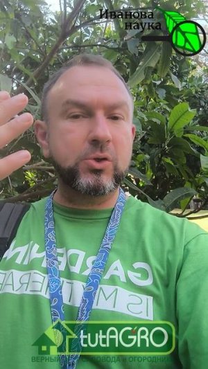 Хорошо не кончится: опозорился на границе. Как избежать позора на границе.