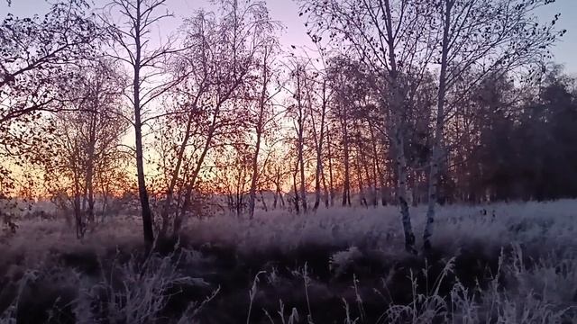 Прекрасные рассветы🌅👍 смотреть онлайн