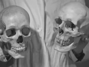 MESHUGGAH - Broken Cog