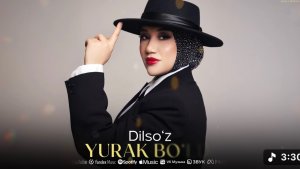 Dilso'z - Yurak bo'ldi | Audio 2025