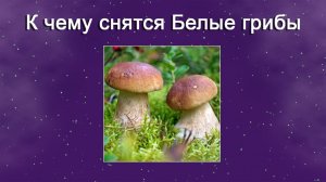 К чему снятся Белые грибы (Сонник)