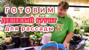 Готовим самый правильный грунт для рассады с минимальными вложениями