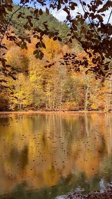 Зеркальная гладь озера Болу осенью смотреть онлайн