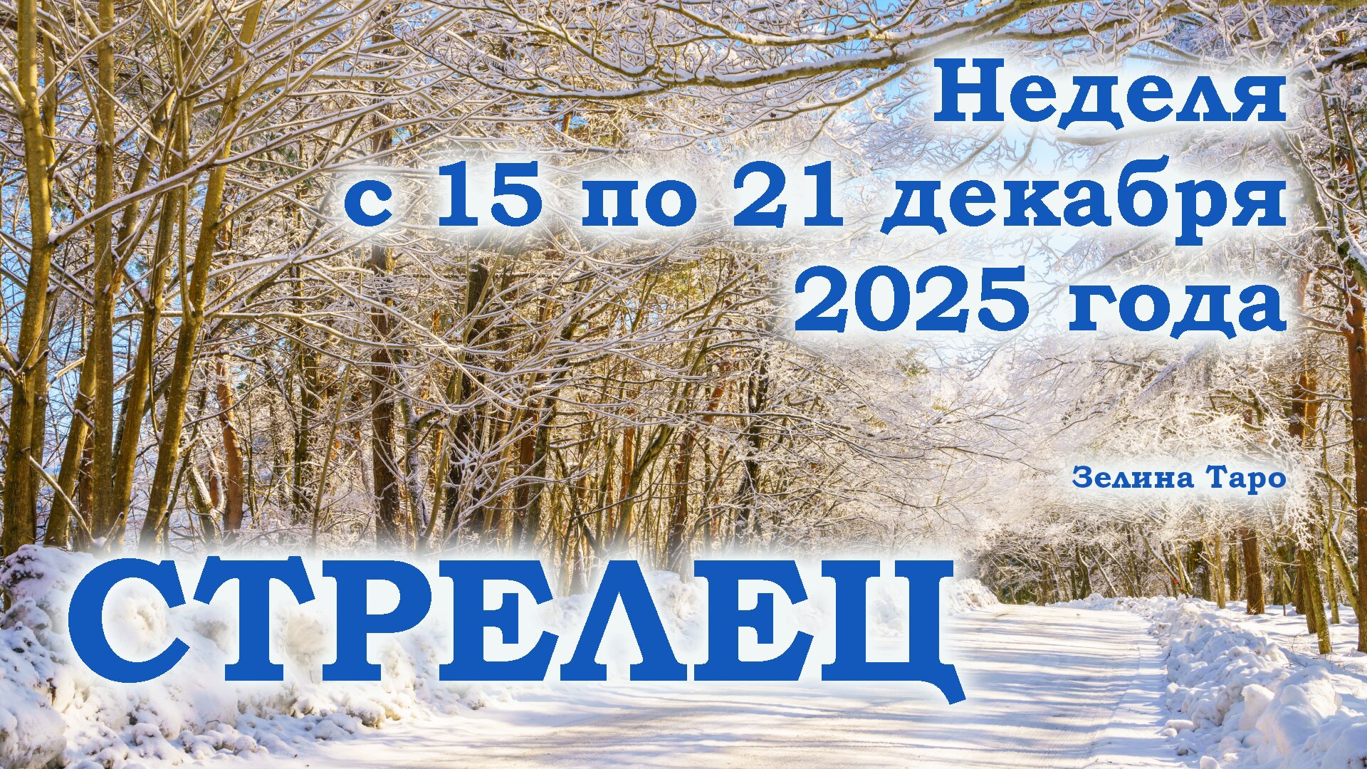 СТРЕЛЕЦ | ТАРО прогноз на неделю с 15 по 21 декабря 2025 года