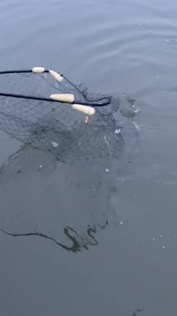 Основной водоём. смотреть онлайн