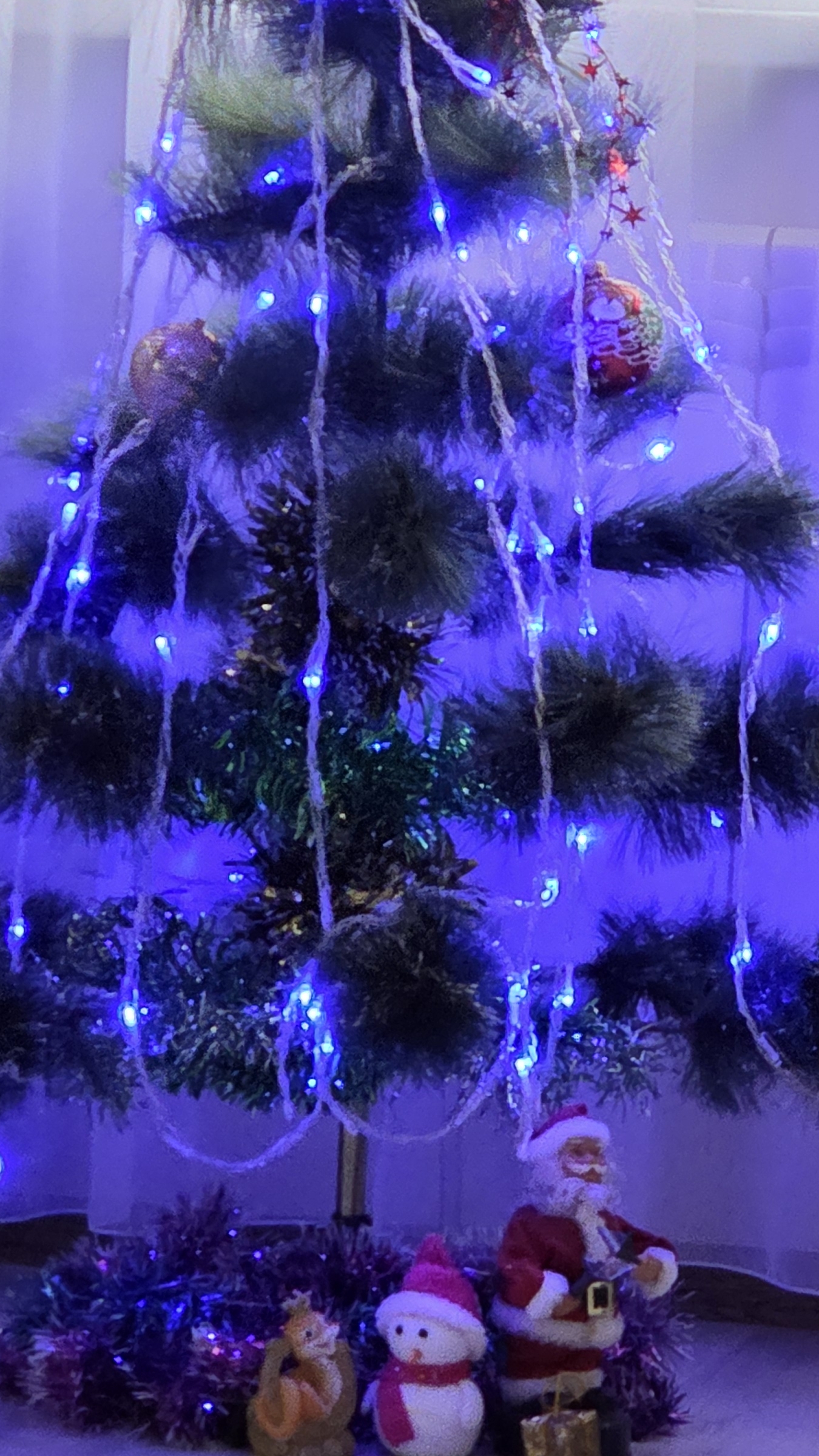 11-12-2025 #еда смотреть онлайн