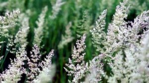 Музыка для расслабления.