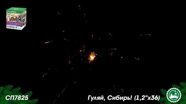 СП7825 батарея салютов ГУЛЯЙ, СИБИРЬ! (1,2''х36) *1/4 смотреть онлайн