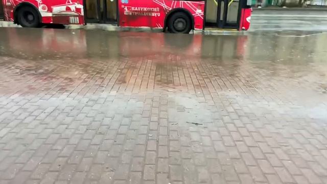 Вчера выпал снег, а сегодня дождик поливает. 11 декабря смотреть онлайн