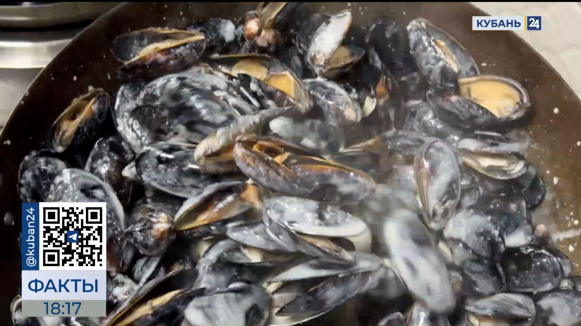 ФАКТЫ. Выпуск от 11.12.25