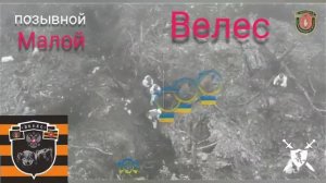 песня Велес Пятнашка от Baba Yaga