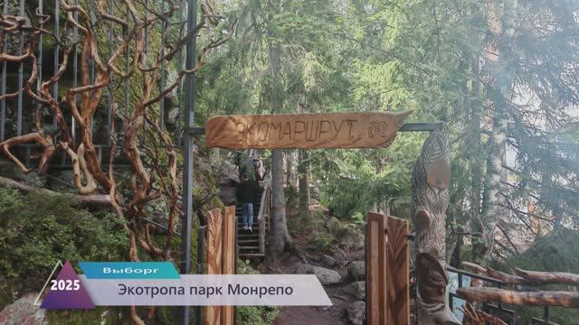 Экотропа в парке "Монрепо"