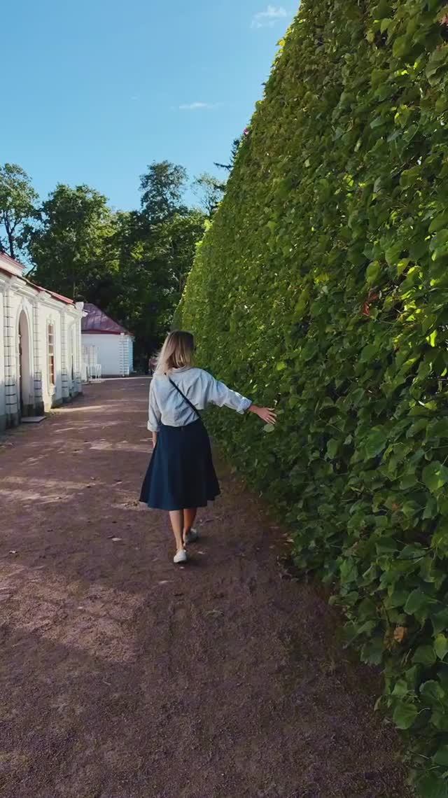 Сергей и Алиса | История двух сердец | Воспоминания на всю жизнь | Петергоф | Часть 2