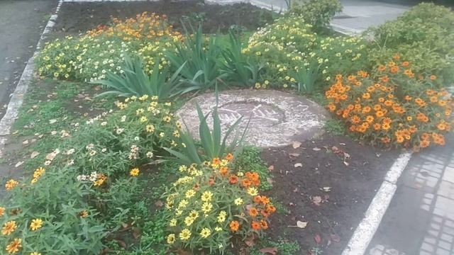 Клумба с цветами в декабре смотреть онлайн