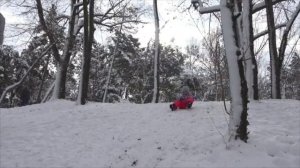 U3.5 Free time activities Canada Culture Beehive 1