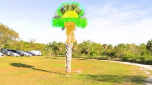 Майя играет с котятами | Уход за питомцами и весёлые истории для детей